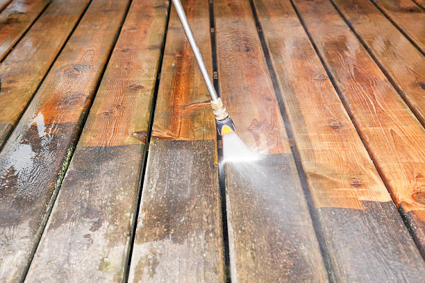 Best Roof Power Washing Services  in Orange City, FL